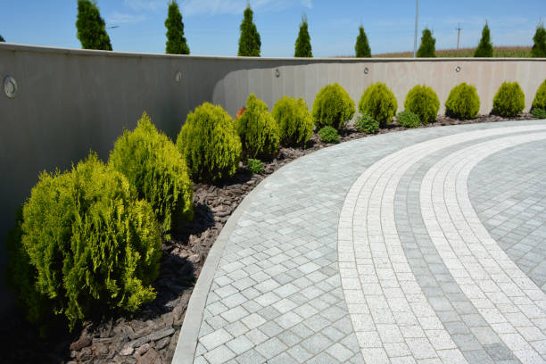 Best Driveway Paving Contractor  in , NM