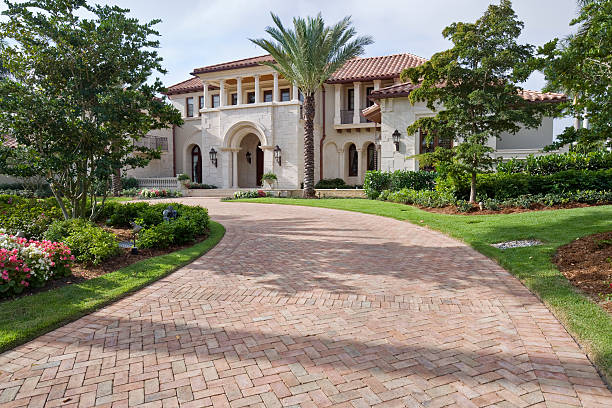Best Driveway Paving Contractor  in , NM