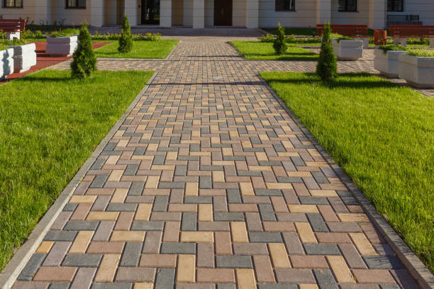 Best Driveway Paving Contractor  in , NM