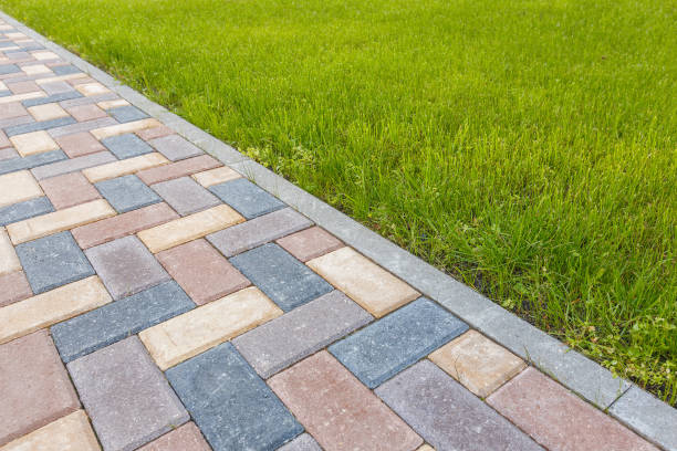 Best Affordable Driveway Paving  in , NM